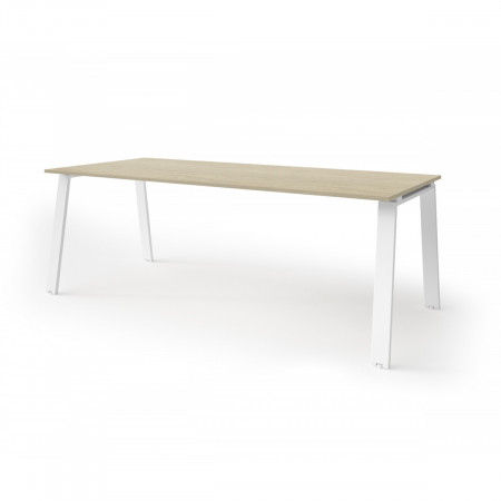 Meeting table W240xD100 Delta